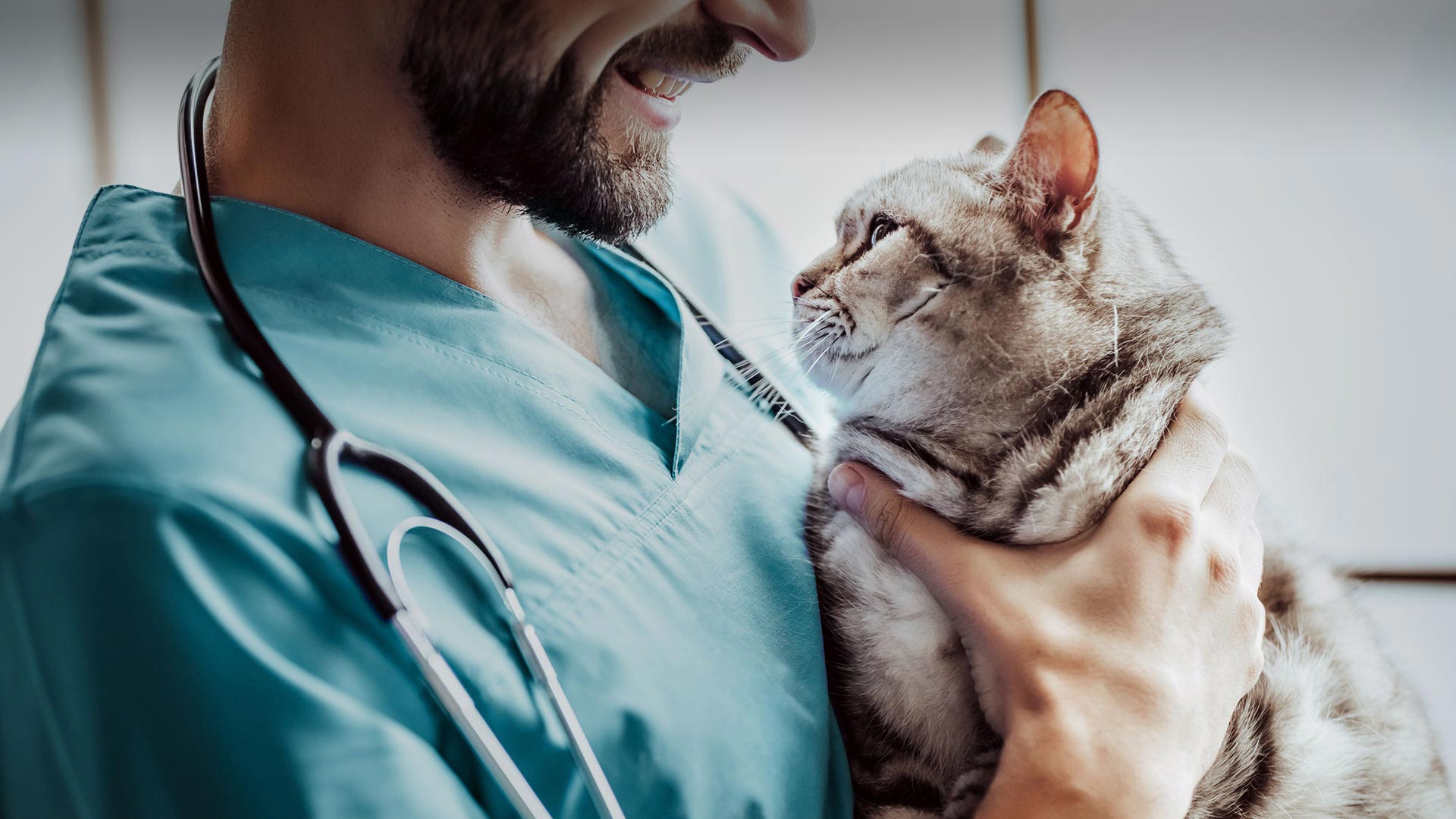 Bayındır Veteriner